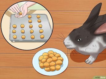 3 manières de faire des friandises pour lapin - wikiHow Homemade Rabbit Treats, Rabbit Pellets, Rabbit Enclosure, Rabbit Feeding, Rabbit Diet, Pet Treats Recipes, Rabbit Treats, Raising Rabbits, Pet Bunny Rabbits