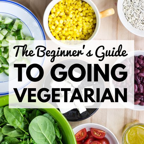 How To Go Vegetarian, Go Vegetarian, Sandwich Vegetarian, Becoming Vegetarian, Vegetarian Life, Vegetarian Lifestyle, Going Vegetarian, Vegetarian Diet Plan, Diet Vegetarian