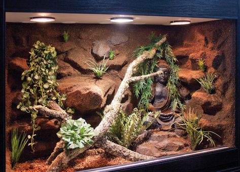 Je nach Geschmack lassen sich auch integrierte Skulpturen einarbeiten wie hier im Halbfeucht-Waldterrarium für Schlangen mit Buddha-Skulptur Typ T07 Bearded Dragon Vivarium, Bearded Dragon Terrarium Ideas, Lizard Terrarium, Terrariums Diy, Water Terrarium, Snake Terrarium, Bearded Dragon Terrarium, Snake Enclosure, Bearded Dragon Habitat