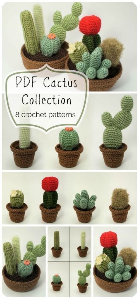 Gifts To Make For Coworkers, Crochet Cactus Pattern, Cactus En Crochet, Cactus Planters, Cactus Collection, Crochet Succulent, Crocheted Christmas, Crochet Christmas Gifts, Cactus Pattern