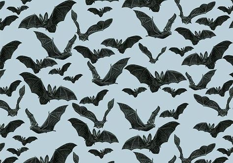 Bats Illustration, Bat Background, Mystery Inc, Bats Halloween, Bat Pattern, Halloween Ii, Black Birds, Tattoos Art, Black Animals