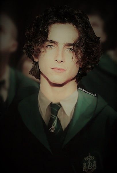 Regulus Acturus Black, Slytherin Wallpaper, Harry Potter Oc, Welcome To Hogwarts, Draco And Hermione, Slytherin Aesthetic, Regulus Black, All The Young Dudes, So Satisfying