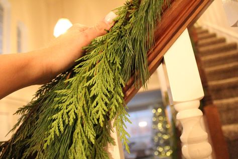 How To Attach Garland To Banister, White Pine Garland, Bannister Garland, Banister Garland, Pine Garland Christmas, Cypress Pine, Fresh Garlands, Holiday Garland, Diy Christmas Garland