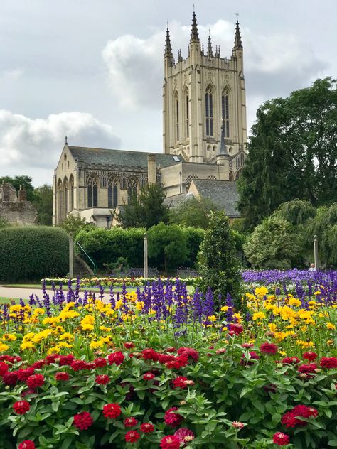 Bury St Edmunds Gardening Notes, Bury St Edmunds, Notre Dame, England, House Styles, Building, Travel