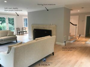 How to pick the best gray paint colour. Showing Benajmin Moore Shoreline by Kylie M INteriors Edesign blog Bm Shoreline Paint, Bm Shoreline, Big Houses Interior, Kylie M Interiors, Best Gray Paint, Best Gray Paint Color, Repose Gray Sherwin Williams, Split Complementary Colors, Dark Paint Colors