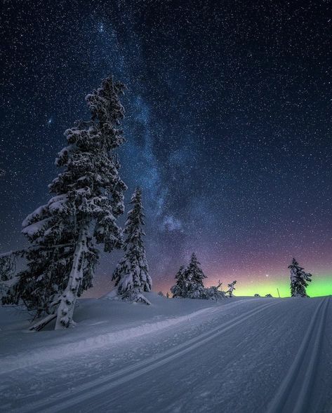 Earth on Twitter: "Biefjell, Norway ✨… " Starry Sky Wallpaper, Night Starry Sky, Sky Wallpaper, Starry Night Sky, Great Photographers, Winter Night, Starry Sky, Milky Way, Beautiful Destinations