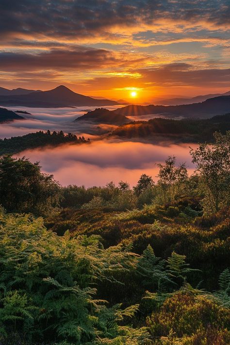 "Step into the beauty of Spring Hiking in the Scottish Highlands! 🏞️🌿🌸 Explore lush green trails, stunning mountain vistas, and vibrant wildflowers as you traverse this breathtaking landscape. Discover the magic of Scotland's rugged terrain and enjoy the serenity of nature’s rebirth. 🏔️🚶‍♂️🍃 #ScottishHighlands #SpringHiking #NatureLovers" Spring Hiking, Mountain Hiking, Scottish Highlands, Lush Green, Wild Flowers, The Magic, Lush, Travel Guide, Scotland