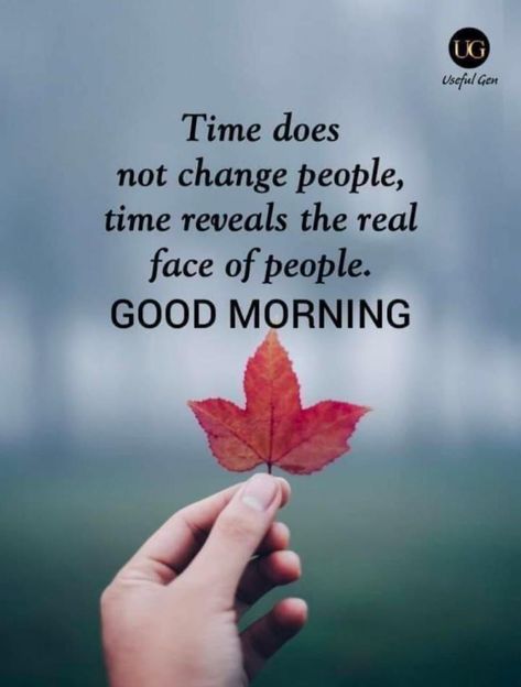 Good Morning English, English Status, Grace And Peace, Good Morning Status, Morning Status, Positive Good Morning Quotes, Beautiful Morning Quotes, Good Morning Spiritual Quotes, Happy Morning Quotes