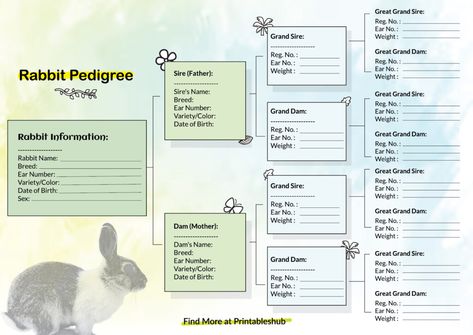 Free Printable Rabbit Pedigree Chart PDF Rabbit Schedule, Rabbit Pedigree Chart Printable Free, Rabbit Infographic, Breeding Rabbits For Meat, Rabbit Record Keeping, Rabbit Information, Rabbit Names, Pedigree Chart, Raising Rabbits