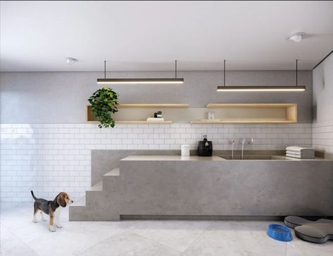 Dog Hotel Design, Dog Clinic, Pet Cafe, Pet Grooming Salon, Industrial Lighting Design, Dog Spa, Dog Grooming Salons, Dog Hotel, Hotel Inspiration