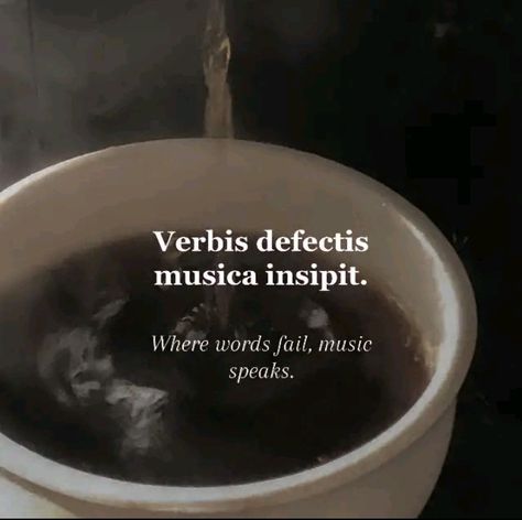 Dark academia - esque latin quote for my classical music babes Credit - @xxdreamsiexx on tiktok Latin Phrases Aesthetic, Meaningful Tattoo Quotes, Latin Quotes, Foreign Words, Cutie Quote, Latin Phrases, Language Quotes, Rare Words, Literature Quotes