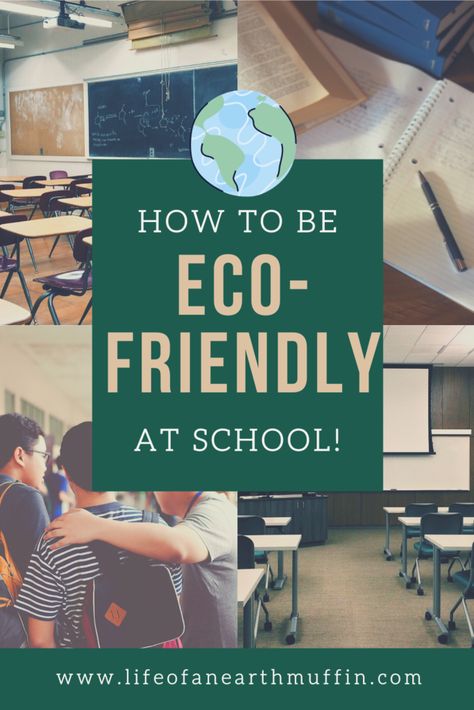 Eco Friendly Classroom Decor, Eco Friendly School Ideas, Eco Friendly Classroom, Eco Friendly Projects For School, Eco Ideas For Schools, Eco School Ideas, Recycling Projects For School, Eco Friendly School, Sustainable Classroom