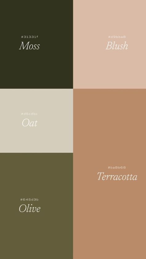 Apartment Decor Color Palettes, Calm Room Color Palette, Olive Terracotta Color Palette Wedding, Olive Blush Color Palette, Down To Earth Color Palette, Natural Color Pallets, Oat Color Palette, Earthy Room Color Palette, Earthy Color Palate