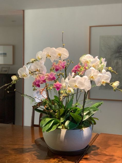 Big Orchid Arrangement, Orchid Vase Arrangement, Orchid Interior Design, Orchid Interior, Orchid Flower Arrangements, Tulips Arrangement, Orchid Centerpieces, Orchid Planters, Flower Vase Arrangements