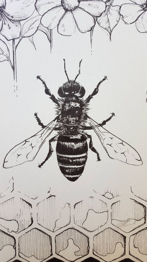 Honey Bee Print Bee Art Honey Bee Art Honey Bee Drawing Honey Bee Insect Study Insect Print Insect Art Insect Drawing Totem Gift Totem Art Totem Animal Totem Insect Black And White Bee Drawing, Swarm Of Bees Drawing, Honey Bee Art Drawings, Bee Line Drawing, Honeybee Drawing, Bee Hive Art, Bee Drawings, Zentangle Animals Art, Honey Bee Drawing