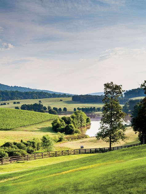 Plan a Girlfriend Getaway to Virginia's Wine Country Virginia Wine Country, Barolo Wine, Temecula Wineries, Virginia Wineries, Girlfriends Getaway, Homegrown Food, Texas Towns, Italy Wine, Baby Goat