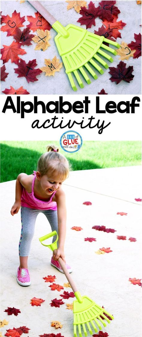 Alphabet Leaf Activity encourages toddlers, and preschool and kindergarten students to get up and move while learning. This is the perfect addition to a fall literacy center. Leaves Activities, Leaf Activity, Fall Literacy Centers, Autumn Preschool Theme, Preschool Fall, Fall Preschool Activities, Fall Lessons, Tree Study, Fall Kindergarten