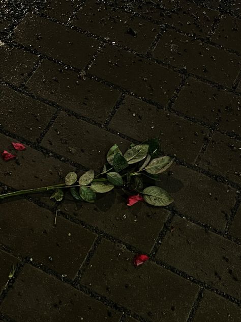 dark romantic aestetic dead roses broken heart Wilting Roses Aesthetic, Valentines Dark Aesthetic, Broke Aesthetics Dark, Broke Heart Aesthetics Dark, Broken Asethic Photo, Broken Love Aesthetique, Aesthetic Heart Break, Pictures Of Heart Break, Dark Heartbreak Aesthetique