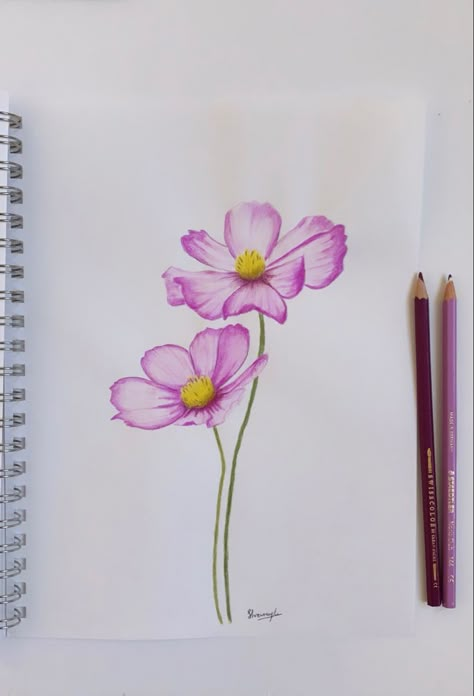 Flowers Drawing With Pencil Colors, Colored Pencil Drawings Ideas, Flower Bouquet Drawing Color Pencil, Flower With Pencil Colours, Colour Pencil Flower Art, Drawing Ideas Colour Pencil Beginner, Color Pencil Flower Art, Flower Sketches Colored Pencil, Color Pencil Art Ideas Simple