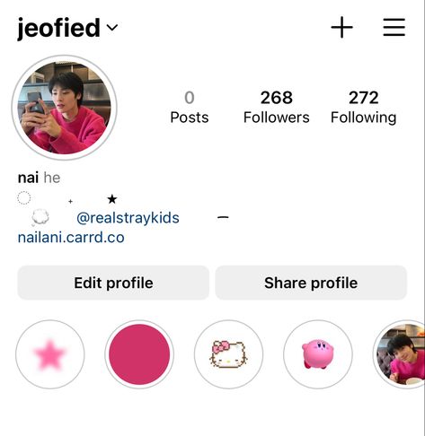 Ig Profile Ideas Bio Simple, Kpop Instagram Layout, Ig Bios, Rp Profile, Ig Layout, Head Memes, Insta Layout, Insta Profile, Insta Ideas