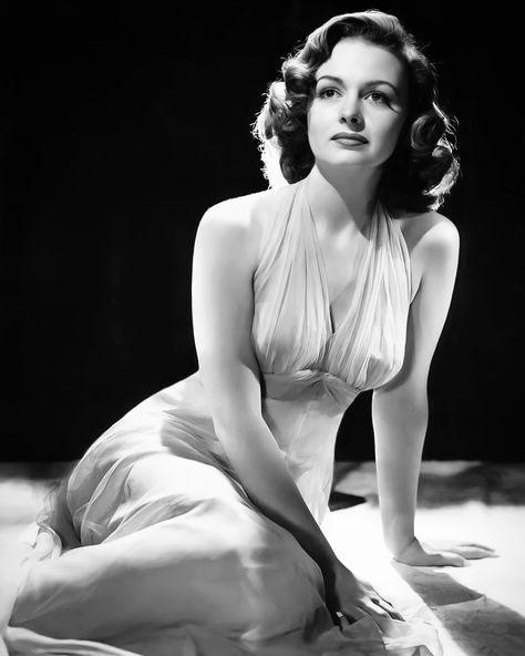 Stars D'hollywood, Wow Photo, Donna Reed, Hollywood Vintage, Classic Film Stars, Classic Movie Stars, Classic Actresses, Old Hollywood Stars, Hollywood Icons