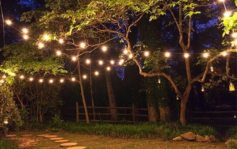 Patio and Party Lights Patio Party Lights, Backyard Party Lighting, Hanging Patio Lights, Outdoor Rope Lights, Apartment String Lights, Outdoor Wedding Lighting, Outdoor String Lights Patio, Small Outdoor Patios, Backyard Trees