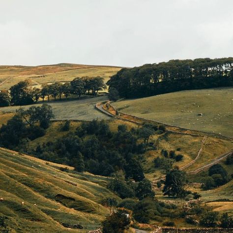 Relais & Châteaux on Instagram: "THE ROAD TO RELAXATION may well lead to rural England. History enthusiasts will adore @farlamhall, an ancient manor house nestled among centuries-old trees near the western part of Hadrian's Wall. Truly a walker's dream, it offers idyllic settings to savor the British autumn with a homemade picnic. Further north, discover @gilpinhotel, located in the heart of the Lake District National Park. For those seeking pampering, take note: many of its rooms feature pri Rural New England, British Autumn, Rural England, England History, Hadrian's Wall, Lake District National Park, Hadrians Wall, Thomas Hardy, Old Trees