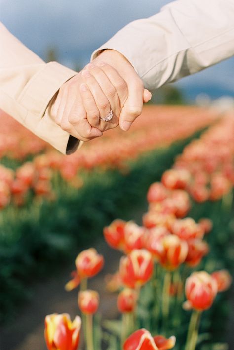 Tulip Farm Engagement Photos, Tulip Engagement Photos, Tulip Photoshoot Photo Ideas, Tulips Photoshoot, Farm Poses, Field Photo Shoot, Field Poses, Tulips Field, Farm Photoshoot