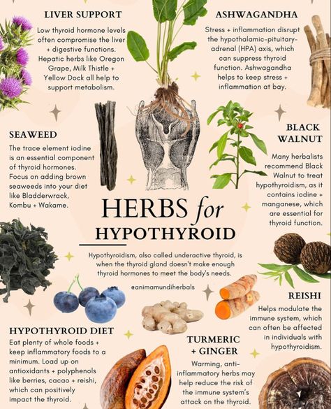 Small Daily Habits, Herbal Education, Medicinal Herbs Garden, Medical Herbs, Magic Herbs, Magical Herbs, Herbal Recipes, Natural Healing Remedies, Herbal Healing