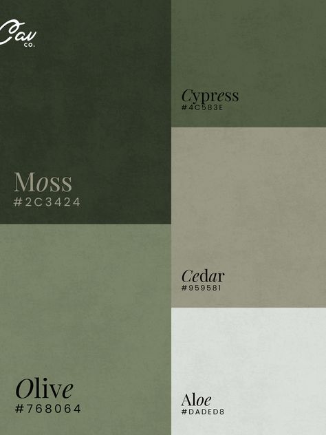 This all natural and earth toned color palette of moody and warm greens, taupes and gray is perfect for branding your business in 2025.   MOSS #2C3424 OLIVE #768064 CYPRESS #4C583E CEDAR #959581 ALOE #DADED8 Earth Tone Color Palette Green, Earth Green Colour Palette, Olive And Cream Color Palette, Woodsy Colour Palette, Deep Green Color Scheme, Organic Green Color Palette, All Green Color Palette, Dark Earth Color Palette, Neutral Green Color Palette Hex Codes