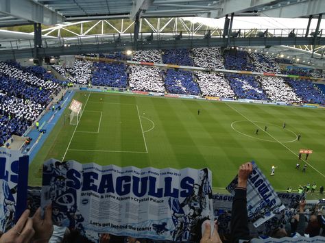 Amex Stadium - home ground of Brighton & Hove Albion FC (SEAGULLS) #bhafc Amex Stadium, London Football, Brighton Hove Albion, Retail Park, Brighton & Hove Albion, Football Stadium, Photography Competitions, Football Teams, Photo Competition