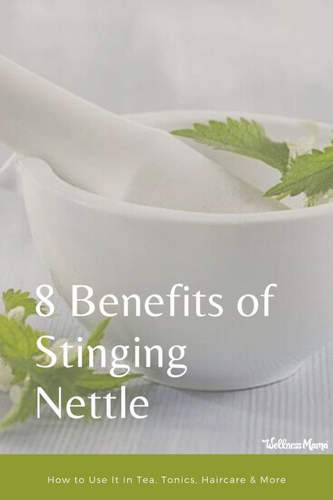 Nettle is one of my favorite herbs. Also called “stinging nettle,” it is packed with nutrients and is even one of the ingredients in my homemade pregnancy tea. Stinging nettle benefits go far beyond pregnancy though. Sting Nettle Benefits, Stinging Nettle Tincture Benefits, Benefits Of Stinging Nettle Tea, Nettle Benefits Health, Stinging Nettle Tea Benefits, Nettles Benefits, Nettle Leaf Tea Benefits, Nettle Leaf Benefits, Stinging Nettle Benefits