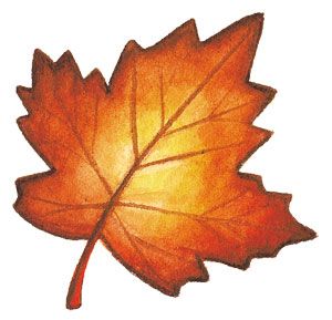 Autumnal Leaf Fall Leaves Drawing, Pola Topi, Fall Clip Art, Fall Canvas Painting, Autumn Leaves Art, Fall Canvas, Leaf Stencil, Leaf Drawing, Autumn Crafts