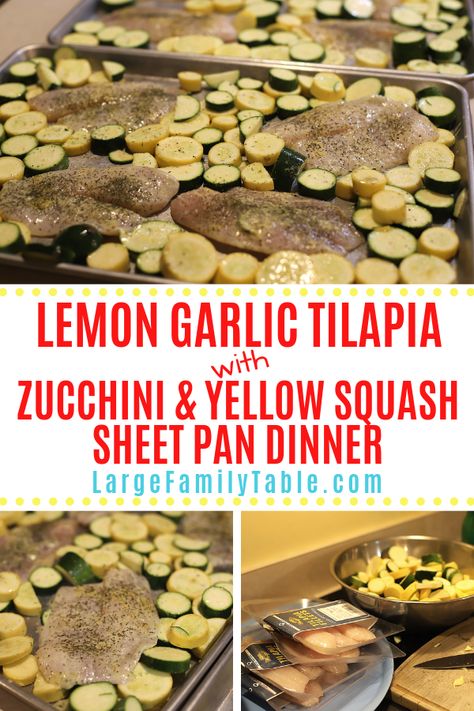 Tilapia Sheet Pan, Dinner Large Family, Squash Sheet Pan Dinner, Squash Sheet Pan, Baked Squash And Zucchini Recipes, Lemon Garlic Tilapia, Lemon Pepper Tilapia, Lemon Tilapia, Large Family Table