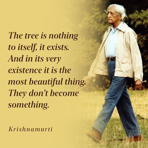 J. Krishnamurti Quotes | The tree is nothing to itself, it exists Krishnamurti Quotes Wisdom, Jiddu Krishnamurti Quotes, Warrior Monk, J Krishnamurti Quotes, Adult Children Quotes, Krishnamurti Quotes, J Krishnamurti, Robert Adams, Thich Nhat Hanh Quotes