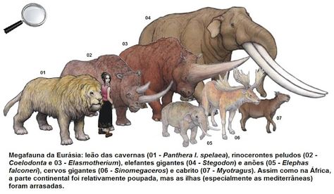 megafauna of Eurasia Ice Age Animals, Prehistoric Wildlife, Prehistoric World, Ancient Animals, Paleo Art, Dinosaur Funny, Extinct Animals, Animals Art, Prehistoric Creatures