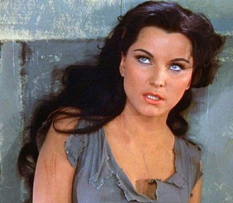 Debra Paget (Lilia in the Ten Commandments) Debra Paget, Old Hollywood Actresses, The Ten Commandments, Vintage Hollywood Glamour, Leo Women, Ten Commandments, Classic Movie Stars, Golden Age Of Hollywood, Girl Crushes