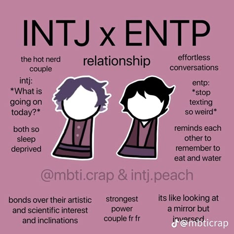 Entp X Intp Mbti Ship, Entp Intj Couple, Intj And Entp Relationship, Intj And Intp Relationships, Intp 9w8, Entp And Intp Relationship, Entp Bingo, Entp In Love, Intj Girl