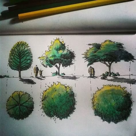 Markers Drawing Architecture, Croquis Architecture, Architectural Trees, Types Of Trees, Landscape Design Drawings, Landscape Architecture Drawing, Interior Architecture Drawing, Tree Sketches, Architecture Sketchbook