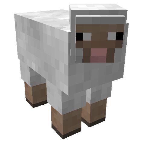 Sheep Minecraft Sheep, Sheep, Minecraft, Animals