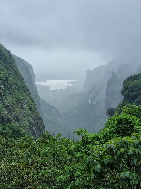 Aandharban forest is the best place to visit in monsoon season, peaceful nature and lots of greenery around the forest. Indian Nature, Indian Forest, Geography Facts, Natural Vegetation, Travel India Beautiful Places, Background References, Best Place To Visit, Marvel Background, Peaceful Nature