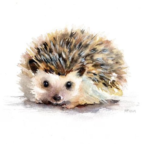 Painting Hedgehog, Watercolor Hedgehog, Animal Watercolour, Bunny Sketches, Hedgehog Drawing, Watercolour Animals, Woodland Animal Art, Countryside Art, Watercolor Paintings Of Animals