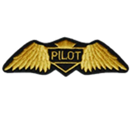 Pilot Badge - ROBLOX Pilot Badge, Pilot Costume, Name Tag Templates, Pilot Uniform, Photo Cake Topper, Air Force Pilot, Escape Games, Diy Costumes Kids, Costumes Kids