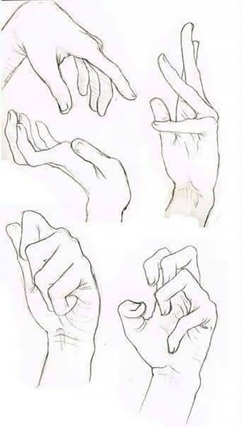 Hand References, Drawing Eyes, Drawing Hands, Hand Gestures, Couple Drawing, Human Anatomy Drawing, Hand Drawing Reference, Monster Illustration, Anatomy Sketches