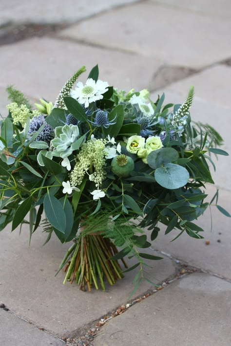 Full of foliage, Succulents, white Scabious and blue Thistle, this wedding bouquet was sumptuous! Bridal Bouquet Thistle, Green And Blue Centerpieces, August Florals, White Scabious, Blue Green Bouquet, Thistle Arrangement, Thistle Flower Arrangement, Blue Thistle Bouquet, Blue Brown Wedding