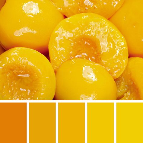 Mango Color Palette, Fruit Color Palette, Mango Color, Food Inspired, Palette Design, Mango Fruit, Canned Peaches, Color Palette Design, Character Design References