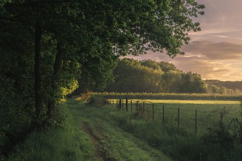 Nature Aesthetic, Pretty Places, Green Aesthetic, Mother Earth, Pretty Pictures, Beautiful Landscapes, Mother Nature, Beautiful Nature, Landscape Photography