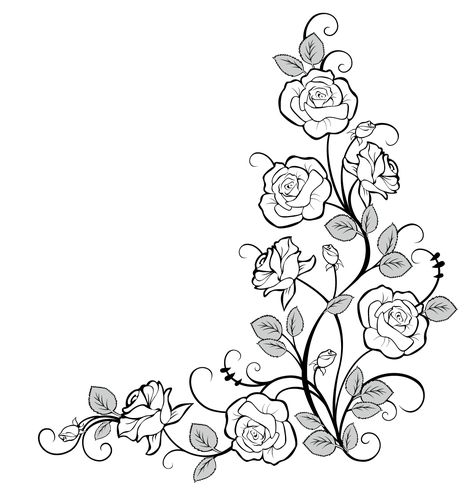 Drawing Borders, Rose Coloring Pages, Corner Borders, Tattoo Graffiti, Flower Png Images, Rose Vines, Parchment Craft, Rose Drawing, Roses Drawing