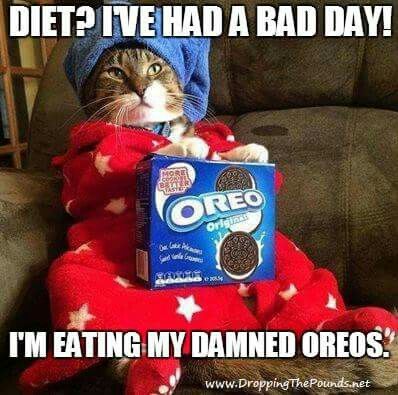 Eating my Oreos!!! Teacher Humour, Teaching Memes, Teacher Funnies, Teaching Humor, Teaching Quotes, Image Chat, Teacher Memes, Education Humor, Funny Teacher