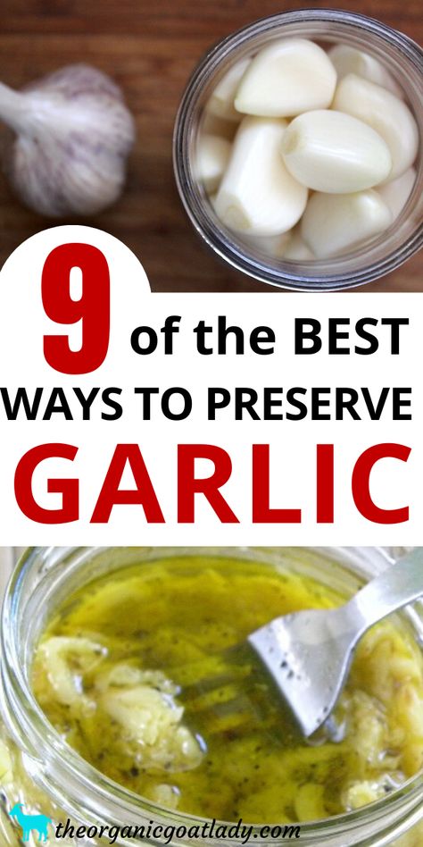 How To Preserve Garlic, Preserve Garlic, Preserving Garlic, Garlic Harvest, How To Store Garlic, Home Canning Recipes, Canning Vegetables, Canning Food Preservation, Canned Food Storage